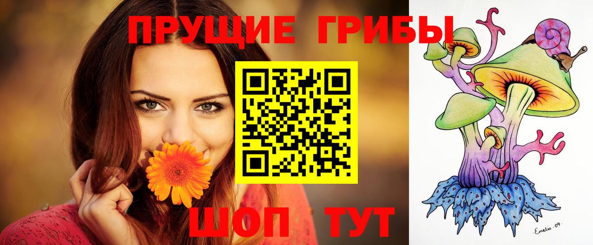 Фурманов  Псилоцибиновые грибы Psilocybine cubensis  Вход с VPN  Галлюциногенные грибы Psilocybine cubensis 