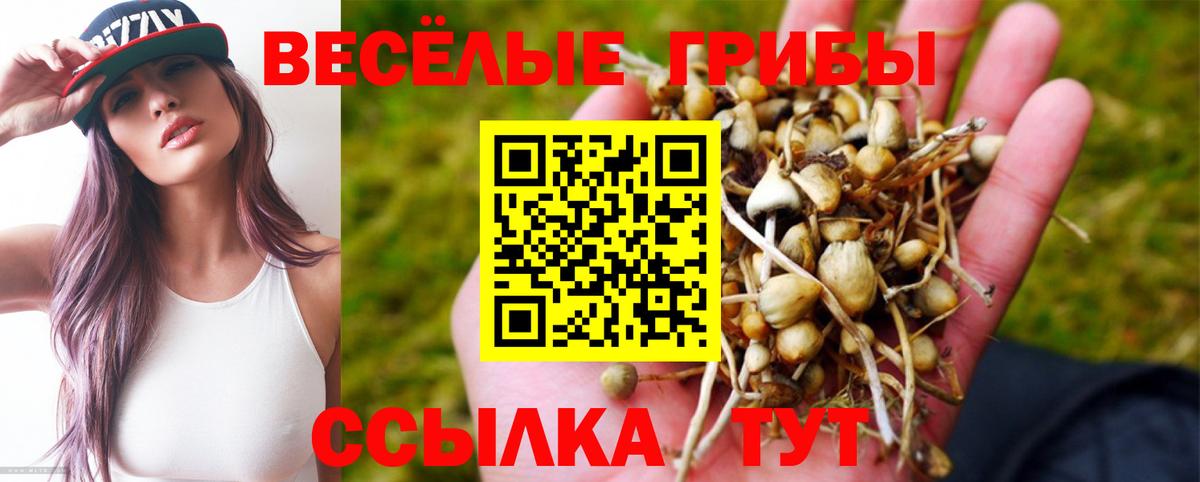 Галлюциногенные грибы MAGIC MUSHROOMS Фурманов